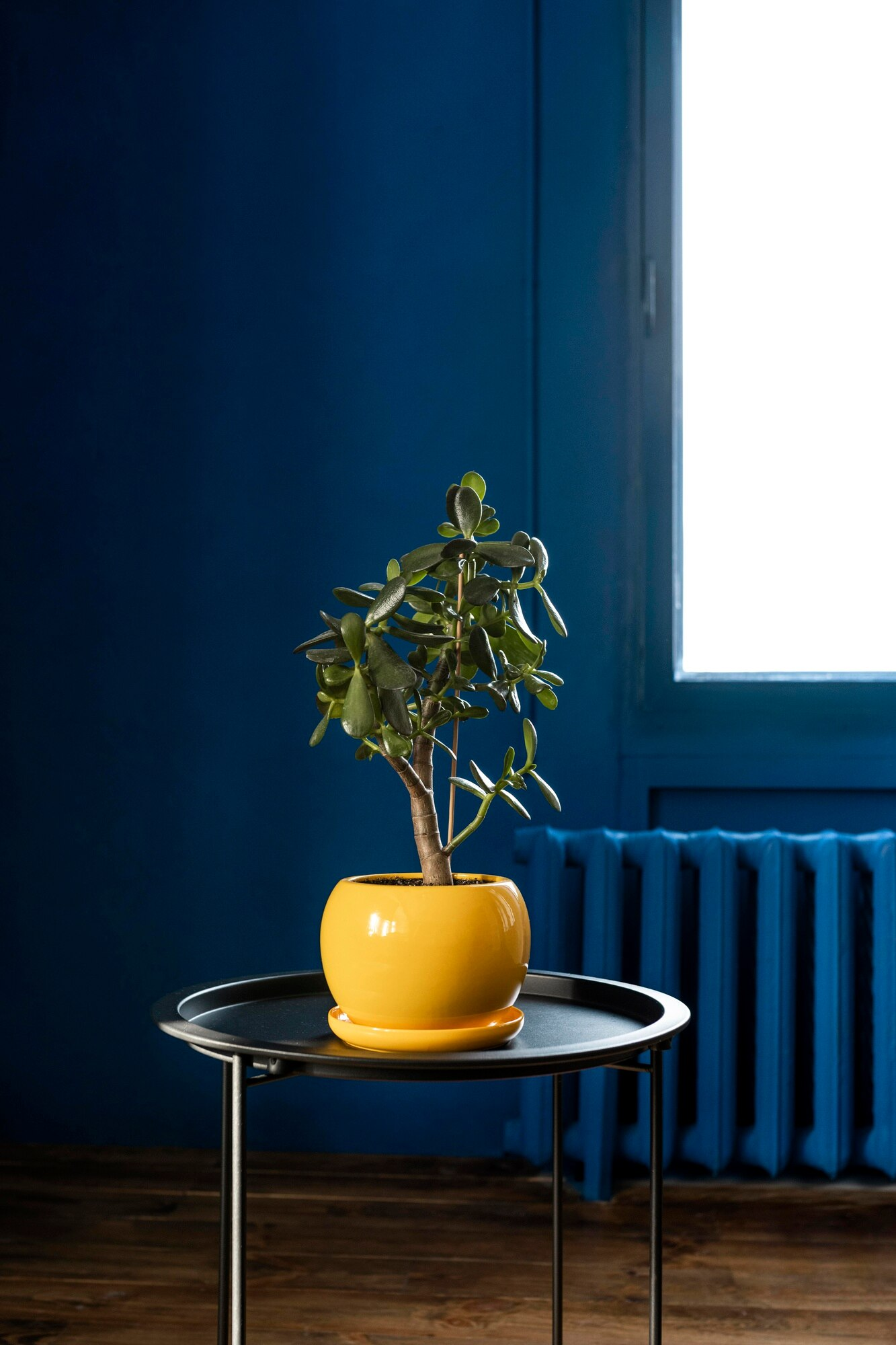 Fredtrad - Traductores sueco